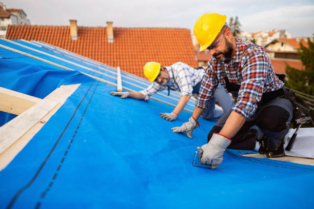 Best Metal Roofing Installation  in Newport, WA